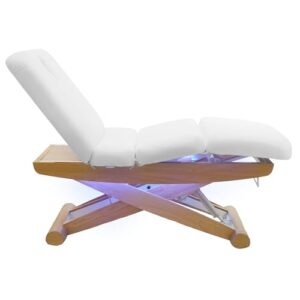 SKINACT Sage Electric Spa Treatment Table (Massage, Facial Bed) - Image 3