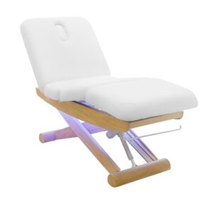 SKINACT Sage Electric Spa Treatment Table (Massage, Facial Bed)